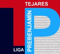 LOGO TEJARES 1